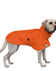 Labrador Retriever Rain Coat (Special Order Orange) - Voyagers K9 Apparel