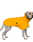Labrador Retriever Rain Coat (Yellow) -Voyagers K9 Apparel
