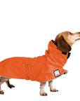 Miniature Dachshund Rain Coat (Special Order Orange) - Voyagers K9 Apparel