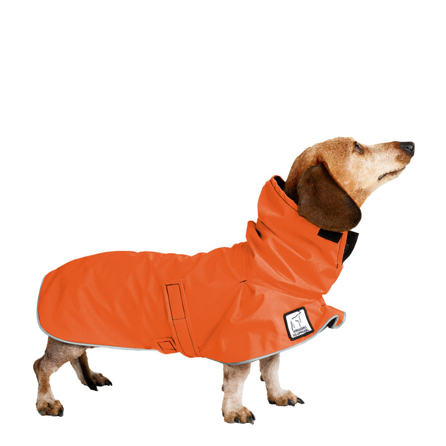 Miniature Dachshund Rain Coat (Special Order Orange) - Voyagers K9 Apparel