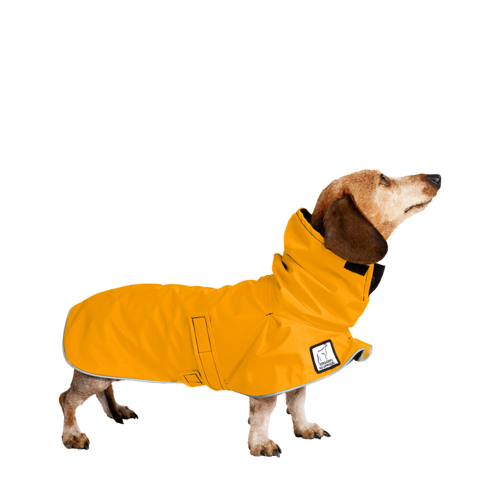 Brabtod Dog Winter Coat for Dachshund,Waterproof Miniature Dachshund  Clothes Jacket,Small Dog Coat with Harness Slot,Dachshund Jumper with  Turtle
