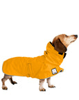 Miniature Dachshund Rai Coat (Yellow) - Voyagers K9 Apparel Dog Gear