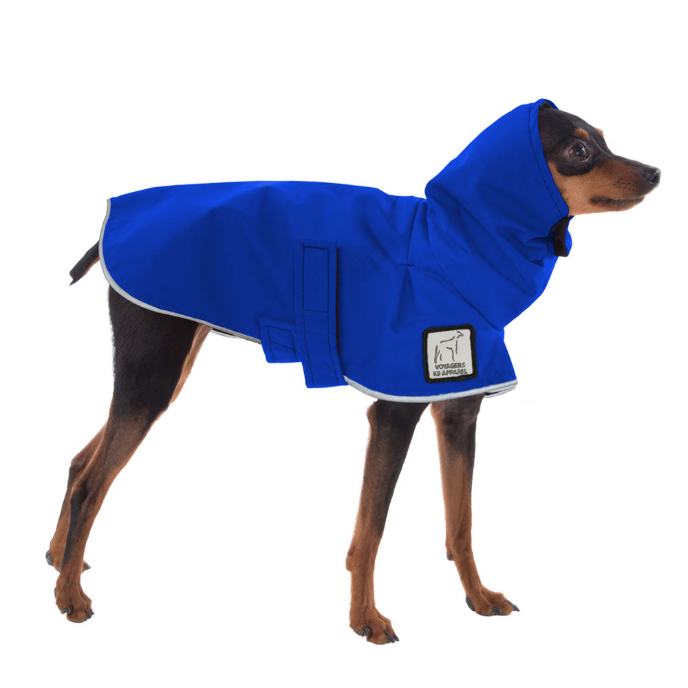 Miniature Pinscher Rain Coat (Special Order Blue) - Voyagers K9 Apparel