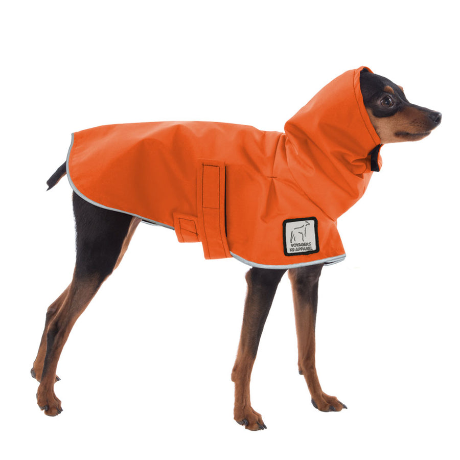 Miniature Pinscher Rain Coat (Special Order Orange) - Voyagers K9 Apparel