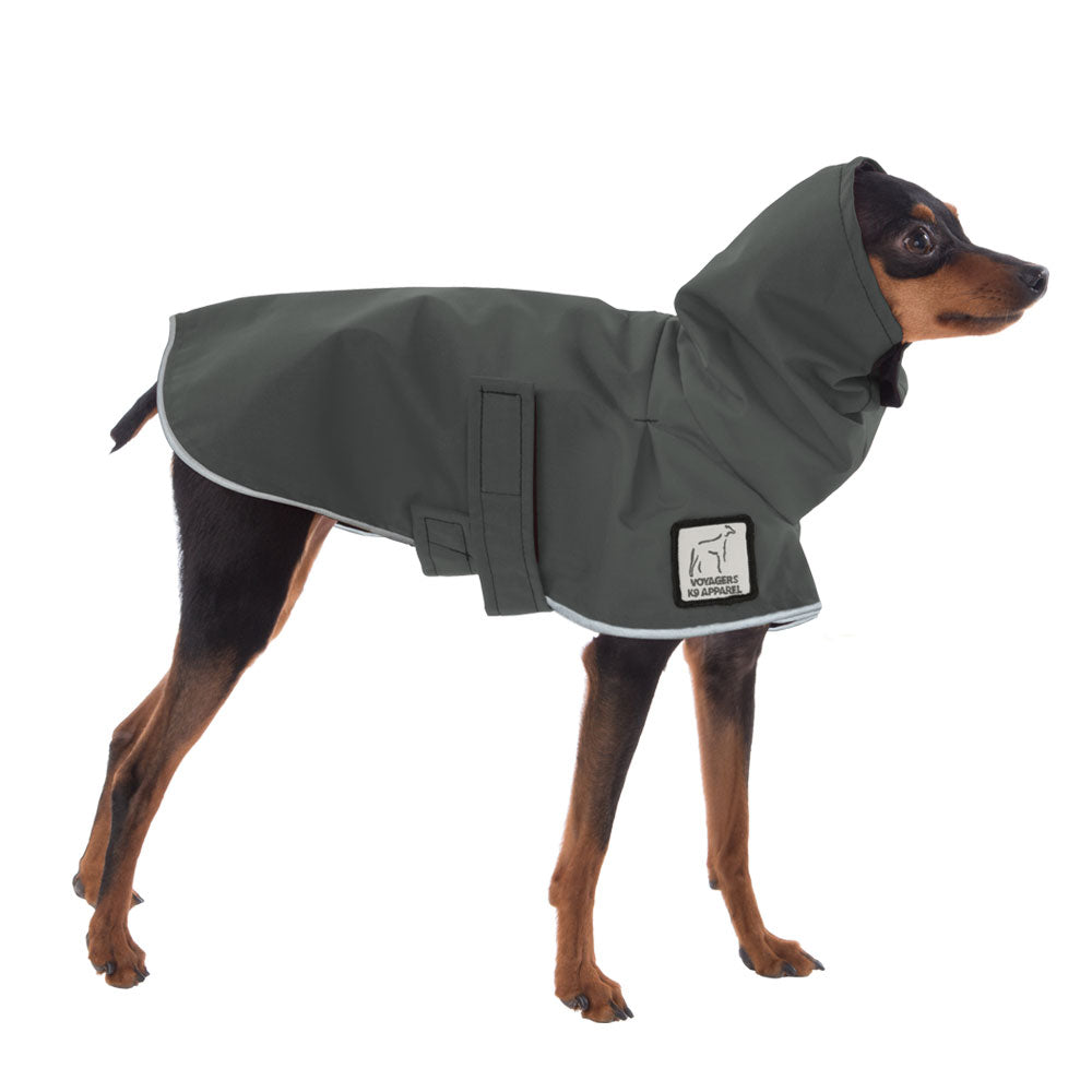 Miniature Pinscher Rain Coat (Special Order Smoke) - Voyagers K9 Apparel
