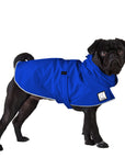 Pug Rain Coat (Special Order Blue) - Voyagers K9 Apparel