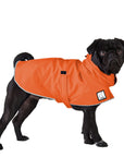 Pug Rain Coat (Special Order Orange) - Voyagers K9 Apparel