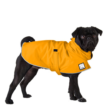 Pug Rain Coat (Yellow) - Voyagers K9 Apparel