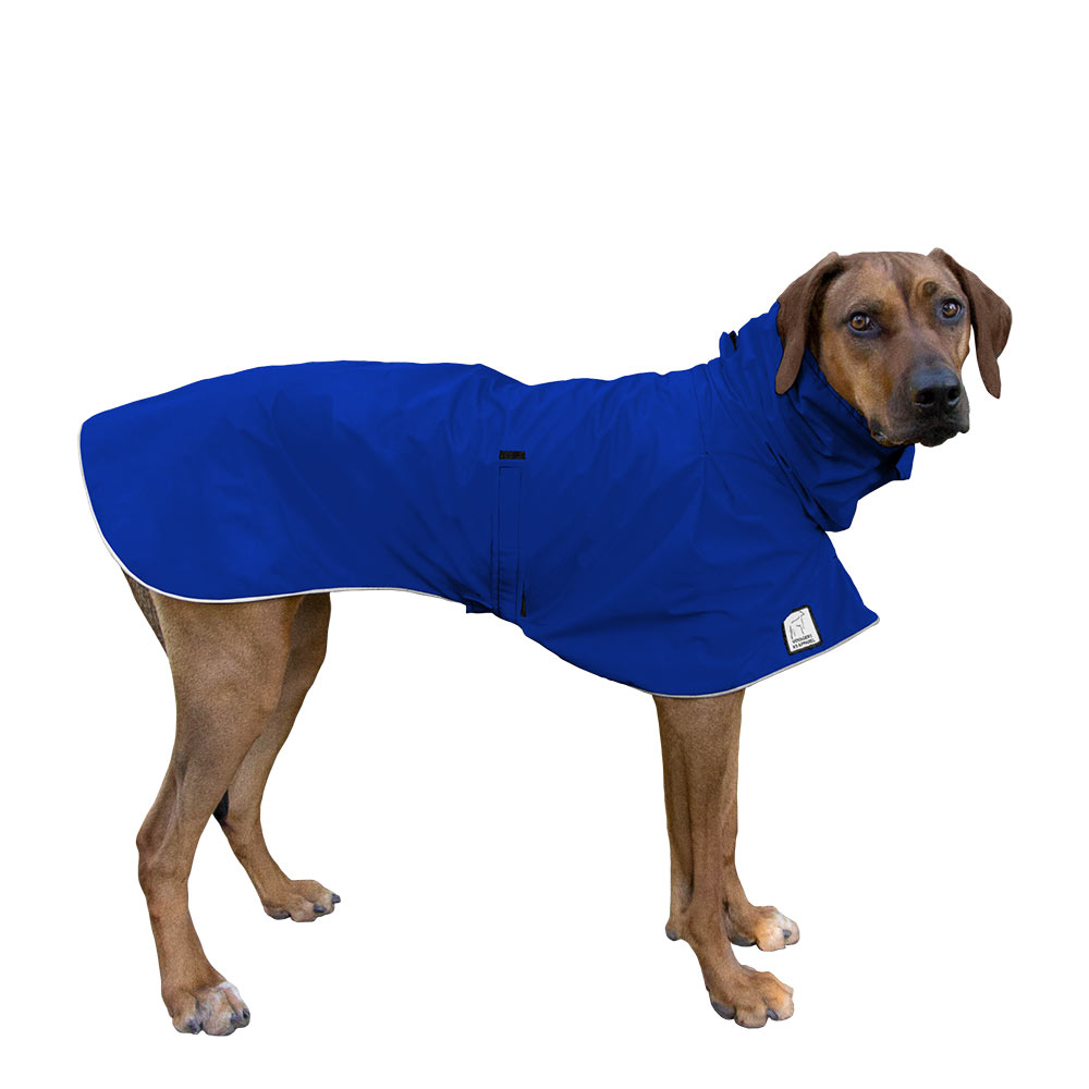 Rhodesian Ridgeback Rain Coat (Special Order Blue) - Voyagers K9 Apparel