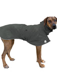 Rhodesian Ridgeback Rain Coat (Special Order Smoke) - Voyagers K9 Apparel