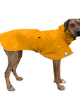Rhodesian Ridgeback Rain Coat (Yellow) - Voyagers K9 Apparel