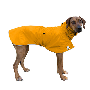 Rhodesian Ridgeback Rain Coat (Yellow) - Voyagers K9 Apparel