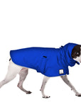 Rat Terrier Rain Coat (Special Order Blue) - Voyagers K9 Apparel