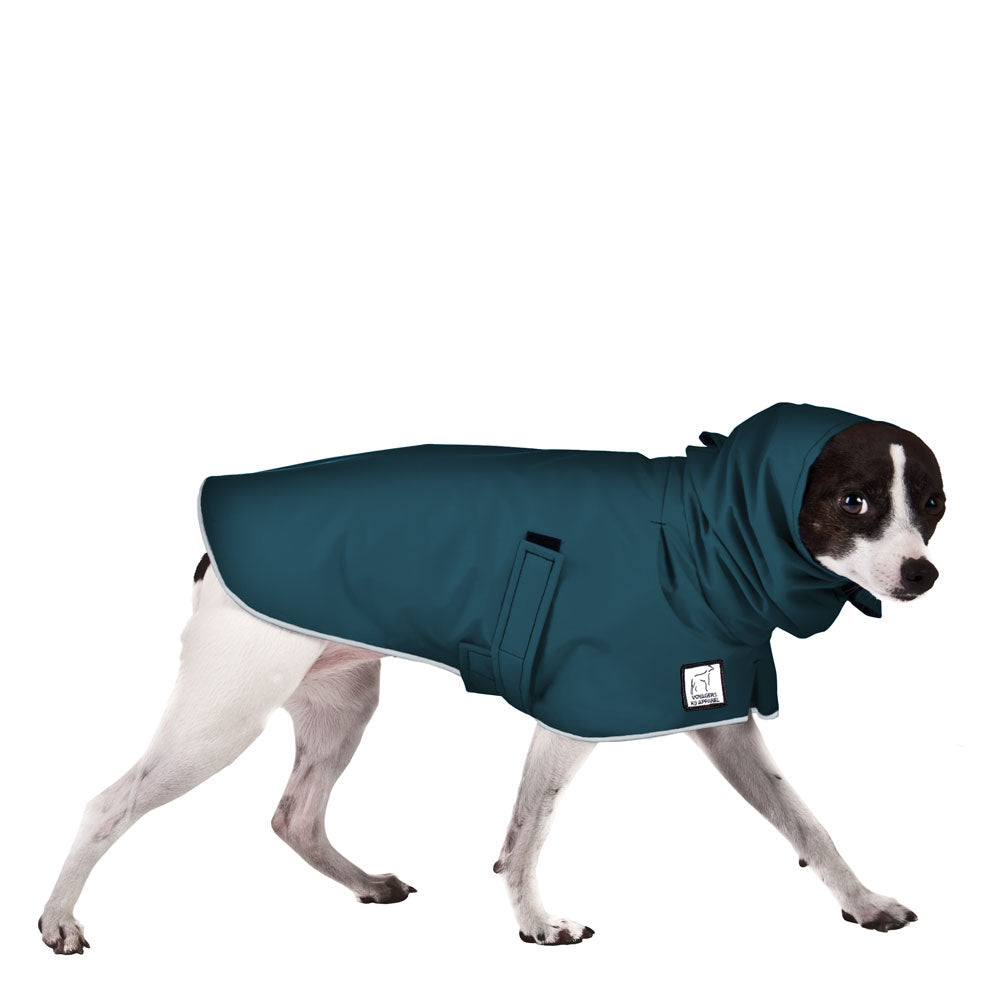 Rat Terrier Rain Coat (Dark Teal)- Voyagers K9 Apparel