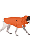 Rat Terrier Rain Coat (Special Order Orange) - Voyagers K9 Apparel