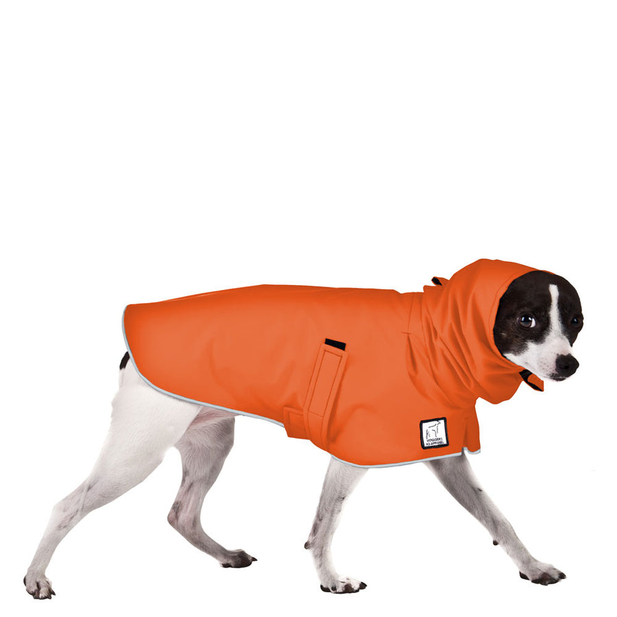 Rat Terrier Rain Coat (Special Order Orange) - Voyagers K9 Apparel