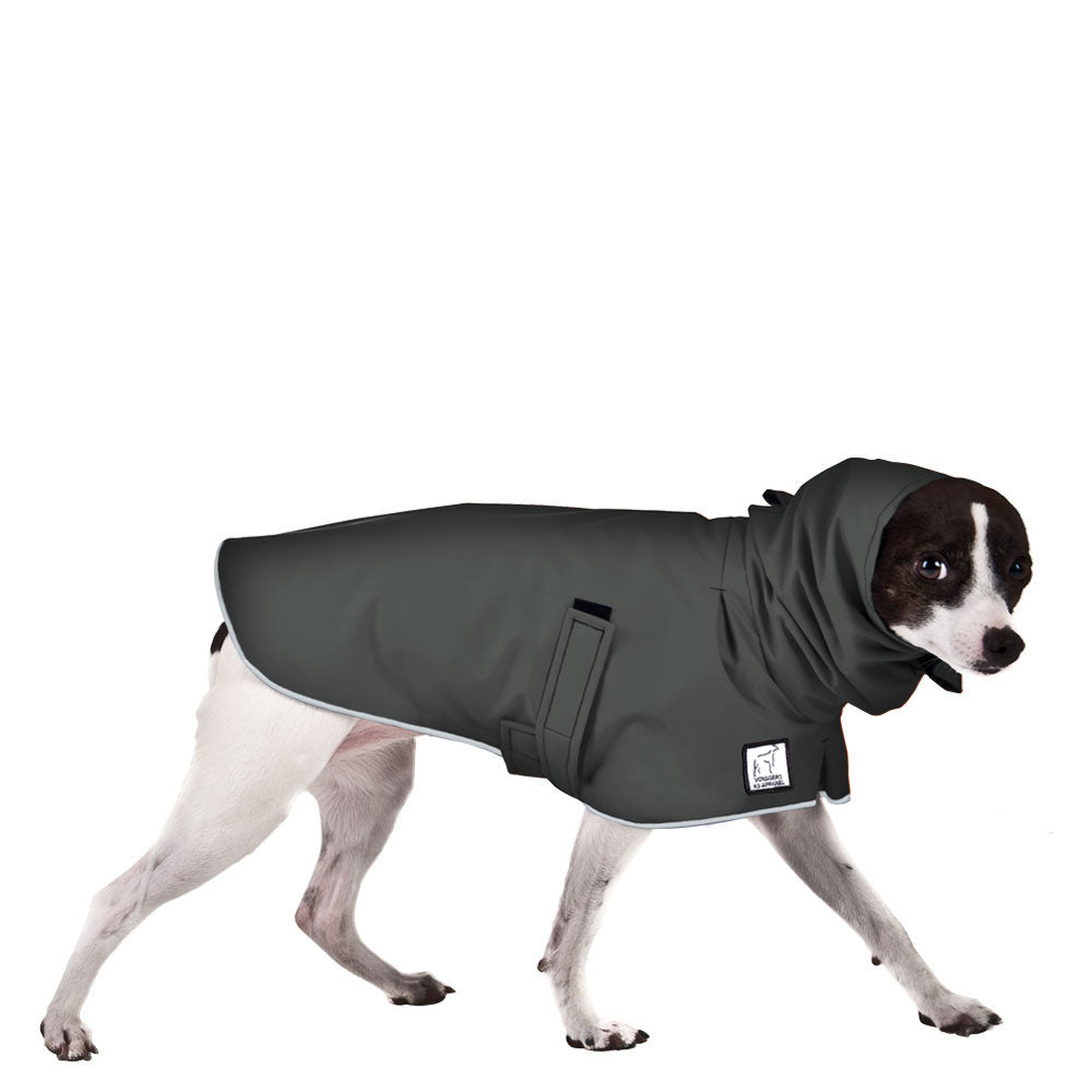 Rat Terrier Rain Coat (Special Order Smoke) - Voyagers K9 Apparel