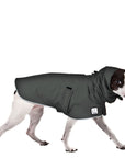 Rat Terrier Rain Coat (Special Order Smoke) - Voyagers K9 Apparel