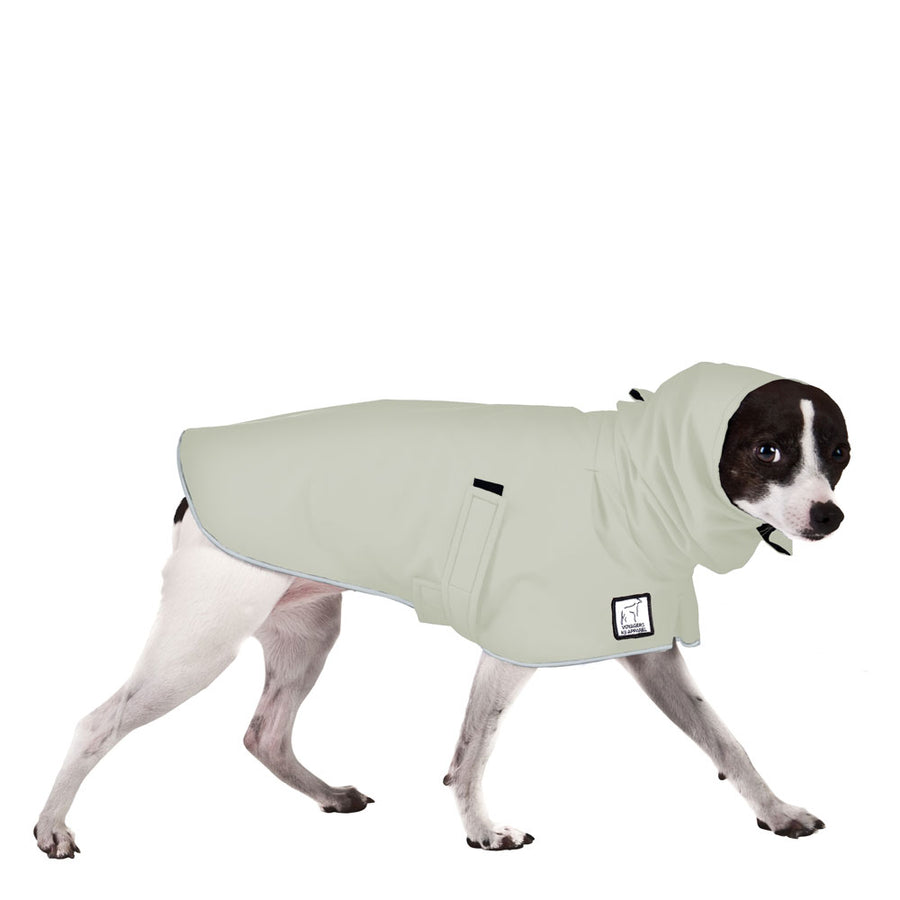 Rat Terrier Raincoat
