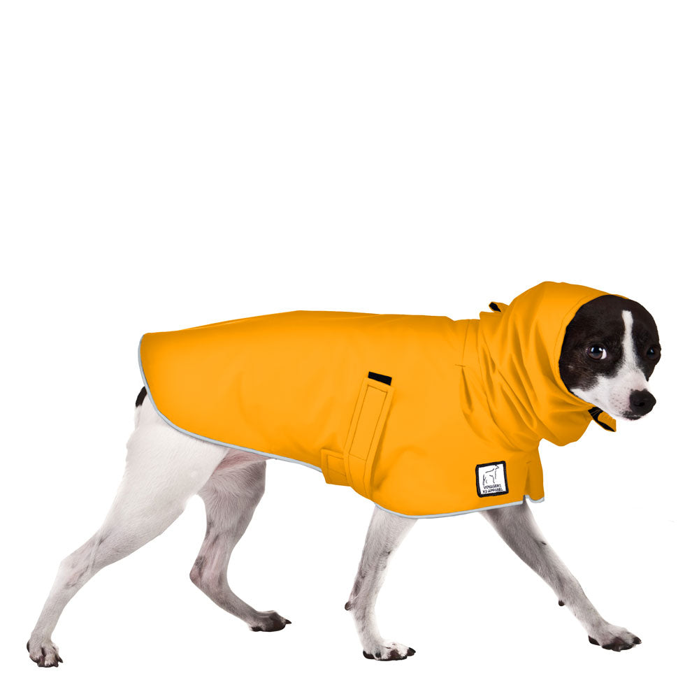 Rat Terrier Rain Coat (Yellow)- Voyagers K9 Apparel