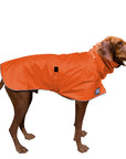 Vizsla Rain Coat (Special Order Orange) - Voyagers K9 Apparel