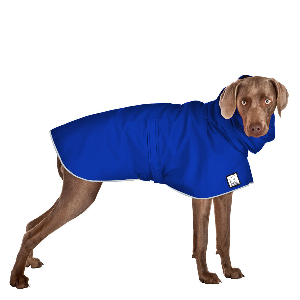 Weimaraner Rain Coat (Special Order Blue) - Voyagers K9 Apparel