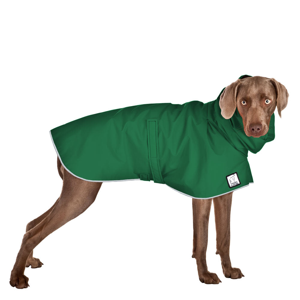 Weimaraner Raincoat