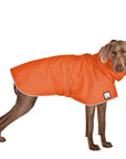 Weimaraner Rain Coat (Special Order Orange) - Voyagers K9 Apparel