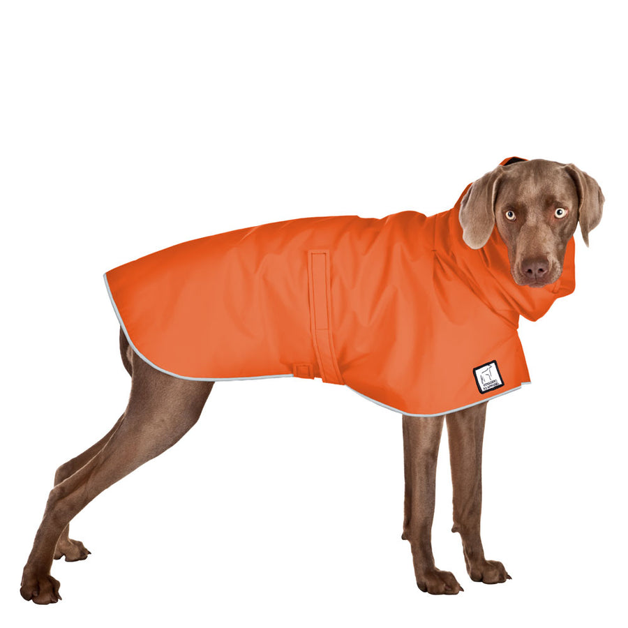 Weimaraner Rain Coat (Special Order Orange) - Voyagers K9 Apparel