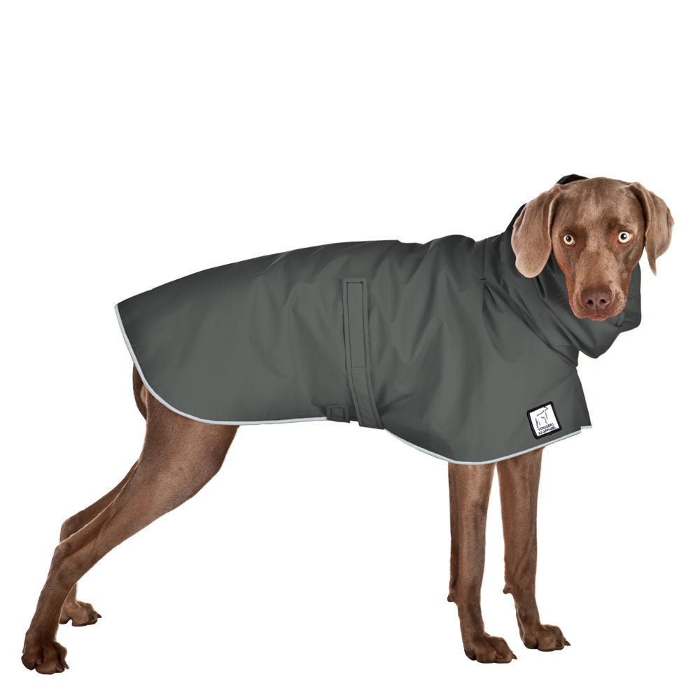 Weimaraner Rain Coat (Special Order Smoke) - Voyagers K9 Apparel