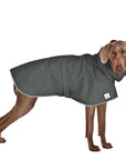 Weimaraner Rain Coat (Special Order Smoke) - Voyagers K9 Apparel