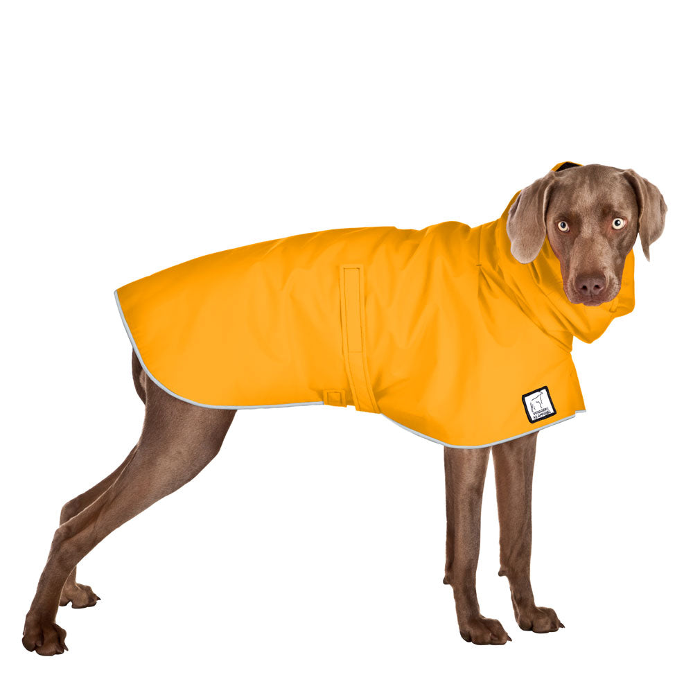 Weimaraner Rain Coat (Yellow) - Voyagers K9 Apparel
