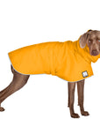 Weimaraner Rain Coat (Yellow) - Voyagers K9 Apparel