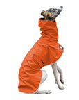 Whippet Rain Coat (Special Order Orange) - Voyagers K9 Apparel