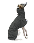 Whippet Rain Coat (Special Order Smoke) - Voyagers K9 Apparel