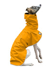 Whippet Rain Coat (Yellow)- Voyagers K9 Apparel
