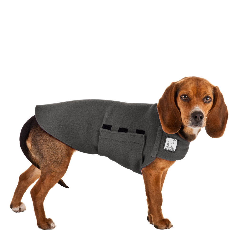 Beagle Tummy Warmer - Voyagers K9 Apparel
