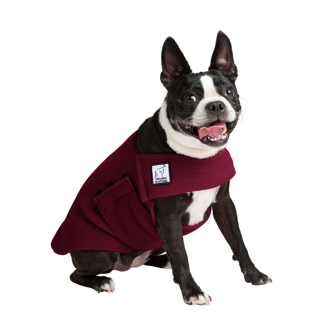 Boston Terrier Tummy Warmer - Voyagers K9 Apparel