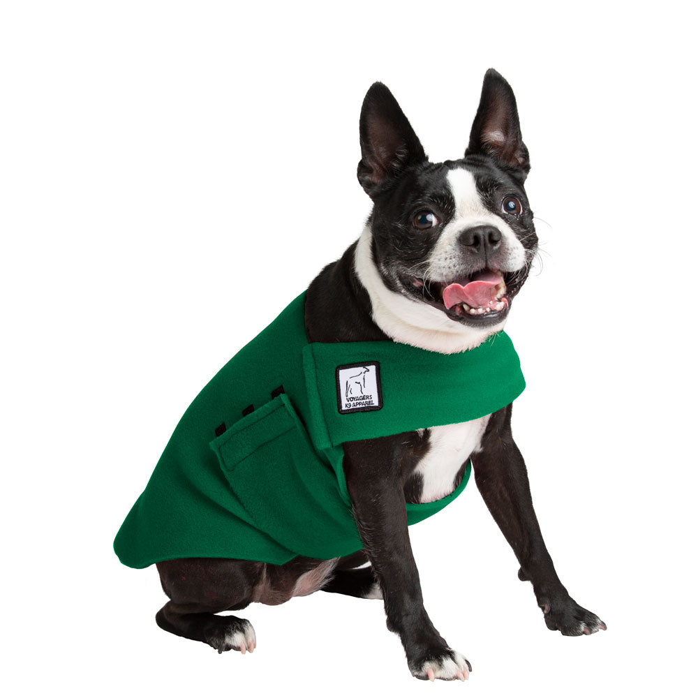 Boston Terrier Tummy Warmer - Voyagers K9 Apparel