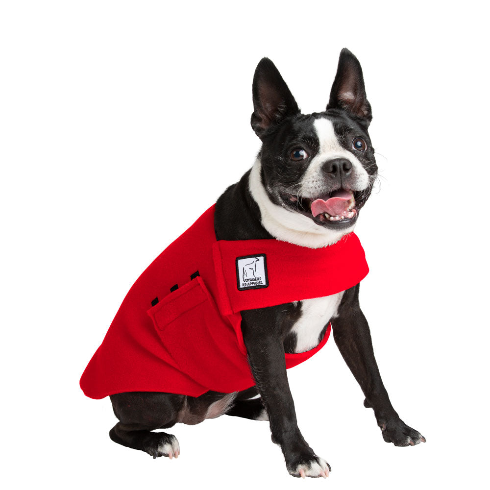 Boston Terrier Tummy Warmer - Voyagers K9 Apparel