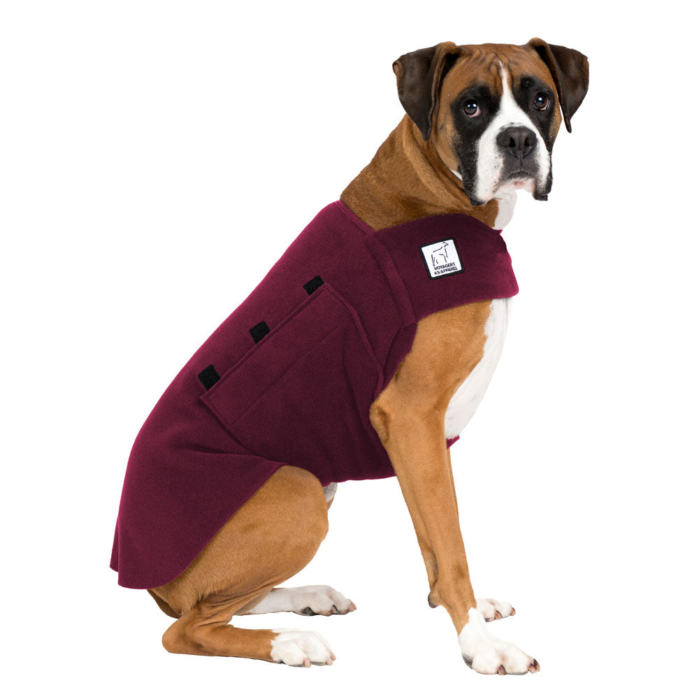 Boxer Tummy Warmer - Voyagers K9 Apparel