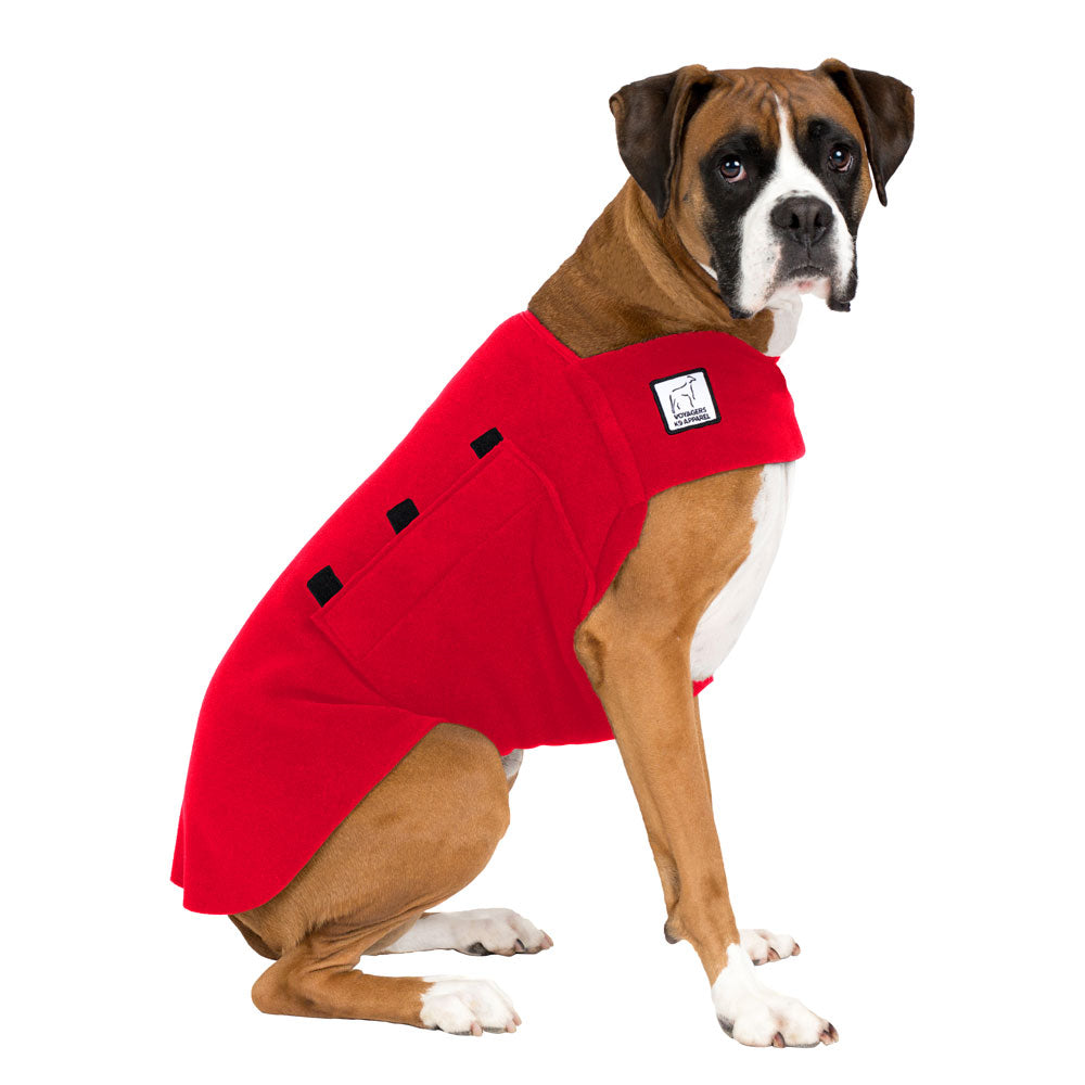 Boxer Tummy Warmer - Voyagers K9 Apparel