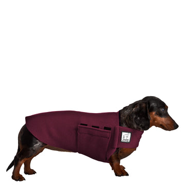 Dachshund  Tummy Warmer - Voyagers K9 Apparel