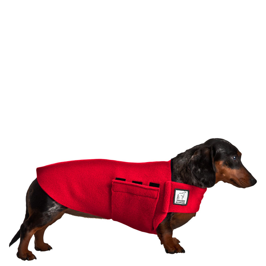 Dachshund Tummy Warmer Dog Vest – Voyagers K9 Apparel