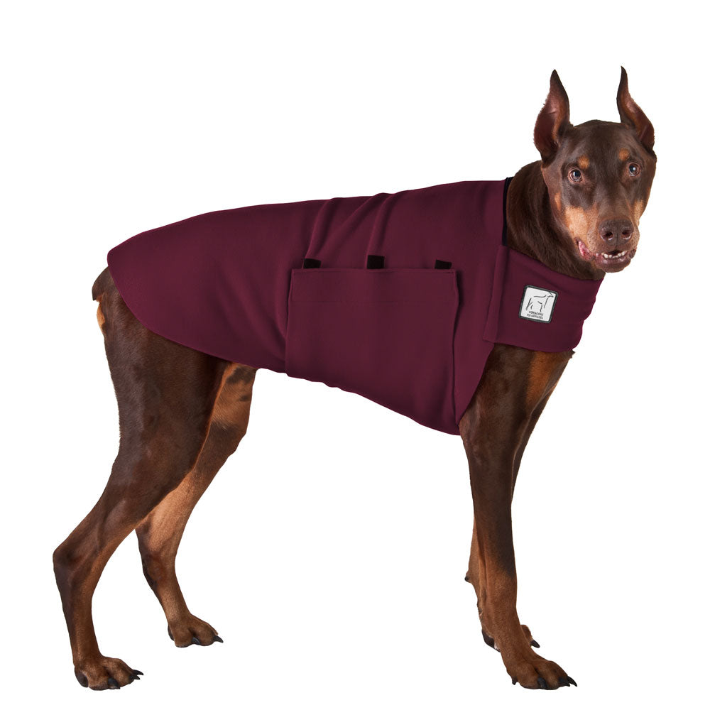 Doberman Pinscher Tummy Warmer - Voyagers K9 Apparel