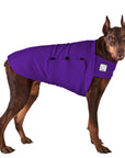Doberman Pinscher Tummy Warmer Dog Vest – Voyagers K9 Apparel