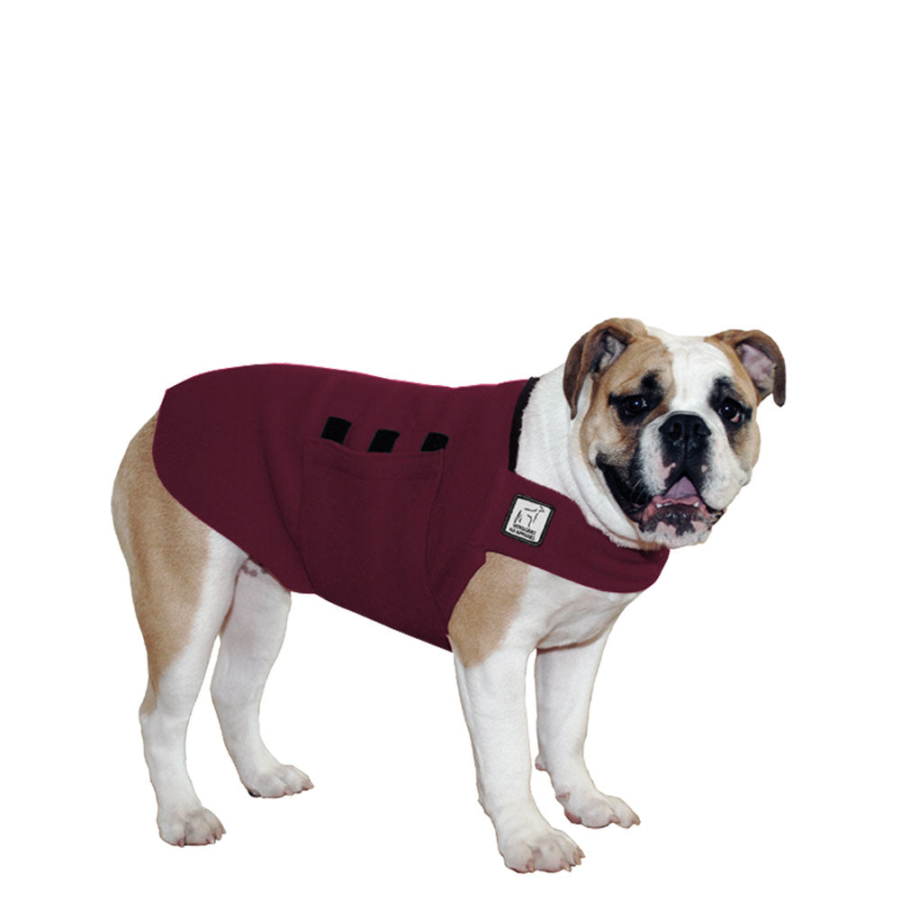 English Bulldog Tummy Warmer - Voyagers K9 Apparel