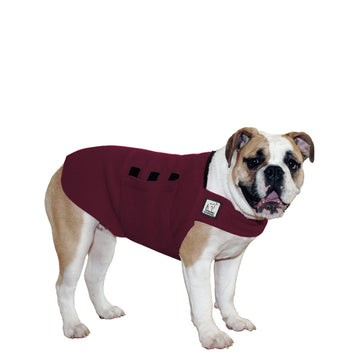 English Bulldog Tummy Warmer - Voyagers K9 Apparel