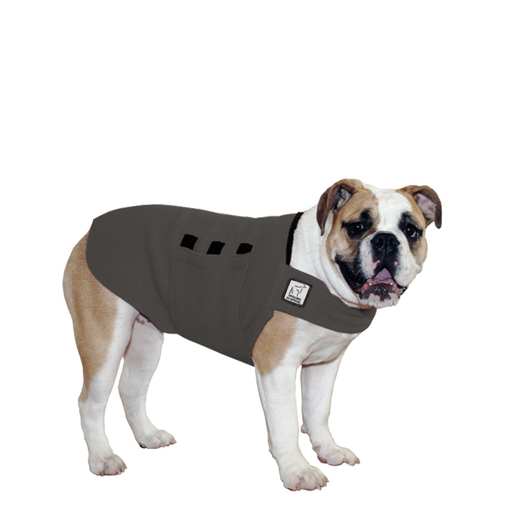 English Bulldog Tummy Warmer - Voyagers K9 Apparel
