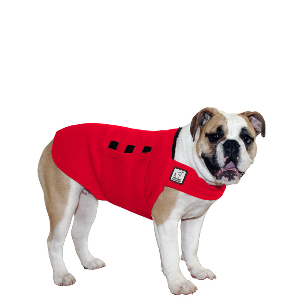 English Bulldog Tummy Warmer - Voyagers K9 Apparel